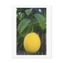 California Lemon Postcards