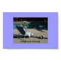 California Living posters