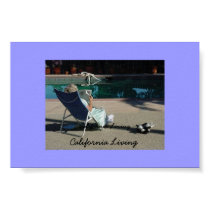 California Living posters
