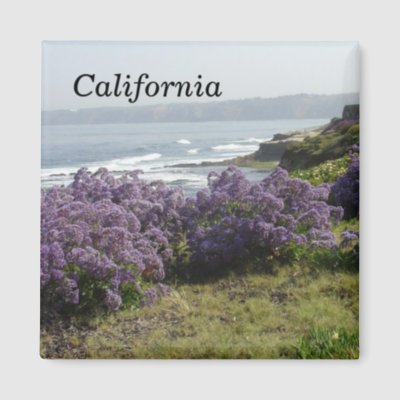 California Magnet