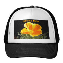California Native Mesh Hats
