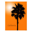California Palm posters