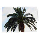 California Palm Tree Greeting Card