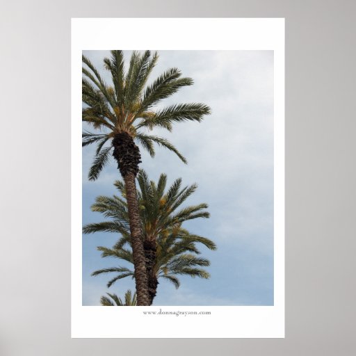 California Palm Trees Poster Zazzle