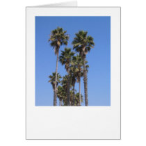 California Palms cards by trevor_hirst California Palms cards