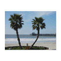CALIFORNIA PALMS postcards by minx267 CALIFORNIA PALMS postcards
