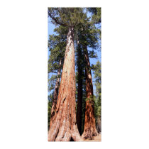 California Panoramic 1 posters by FagnanPhoto California Panoramic 1 posters