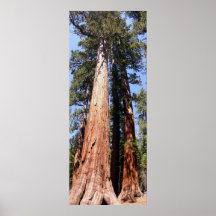 California Panoramic 1 Poster
