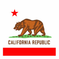 CALIFORNIA CUT OUT