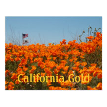 California Poppies And American Flag Post Card