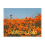 California Poppies And American Flag Post Card