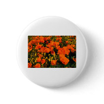 California Poppies buttons