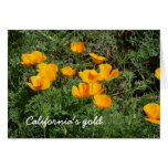 California Poppies Card