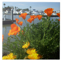 California Poppies Ceramic Tile