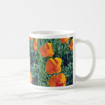 California Poppies Closeup flowers Mugs