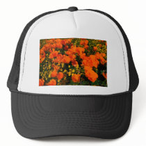 California Poppies hats