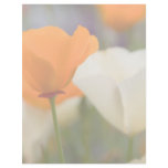 California Poppies Personalized Letterhead