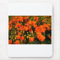 California Poppies Mouse Mats