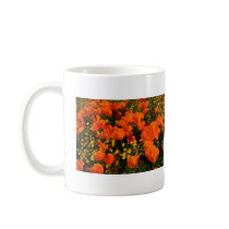 California Poppies mugs