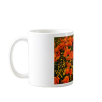 California Poppies mugs