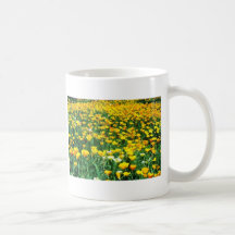 California Poppies Mug