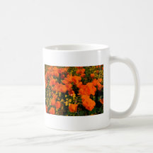 California Poppies Mugs