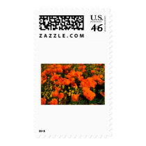 California Poppies postage