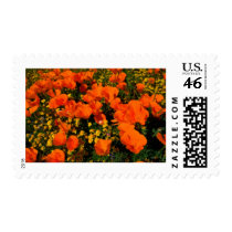 California Poppies stamps