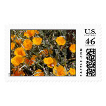 California Poppies postage by wdm_emm California Poppies postage