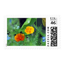 California Poppies Postage Stamp