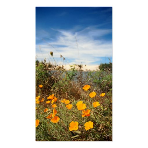 California Poppies & Sand Dunes Business Card Template (back side)