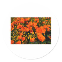 California Poppies stickers