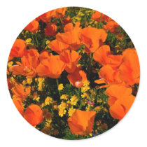 California Poppies stickers by davecardinal California Poppies stickers