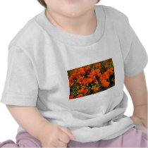 California Poppies t-shirts