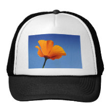 California Poppy Against Blue Sky Trucker Hat