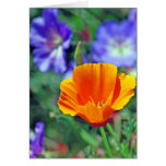California Poppy and Purple Blooms Greeting Card