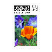 California Poppy and Purple Blooms Postage