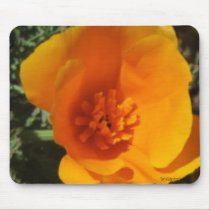 California Poppy Blooming Mousepad mousepads