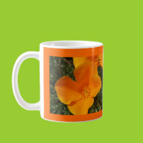 California Poppy Blooming Mug mugs