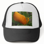 California Poppy bud hats