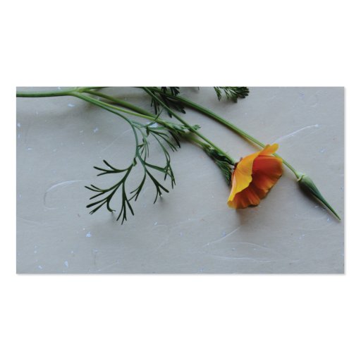California poppy business card (front side)