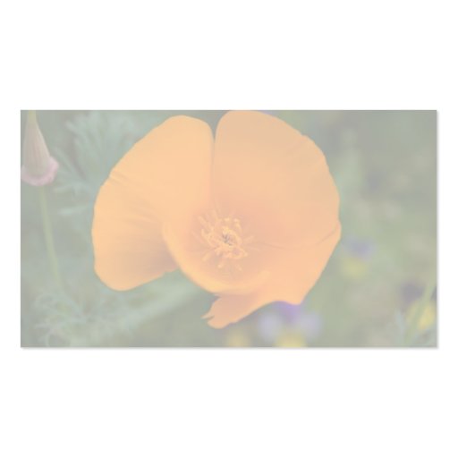 California Poppy Business Card Templates (back side)