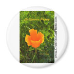 California Poppy California Products Refrigerator Magnet