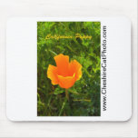 California Poppy California Products Mousepads