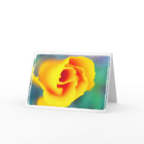 California Poppy cards