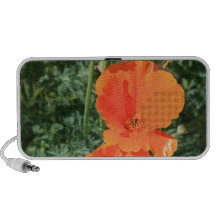 California Poppy doodle speaker