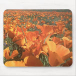 California Poppy Field Mouse Pads