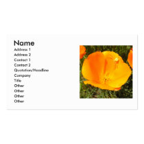 California Poppy Flower business cards