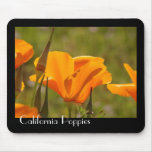 California+poppy+flower+tattoo