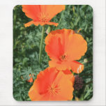 California Poppy Flowers Mousepad